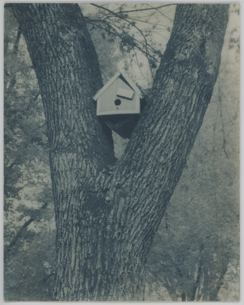/images/posts/toning-cyanotypes/birdhouse.webp