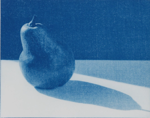 /images/posts/toning-cyanotypes/pear-cyanotype.webp
